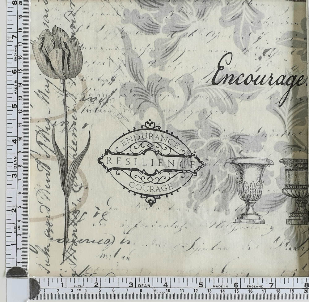 Etchings 44339 11