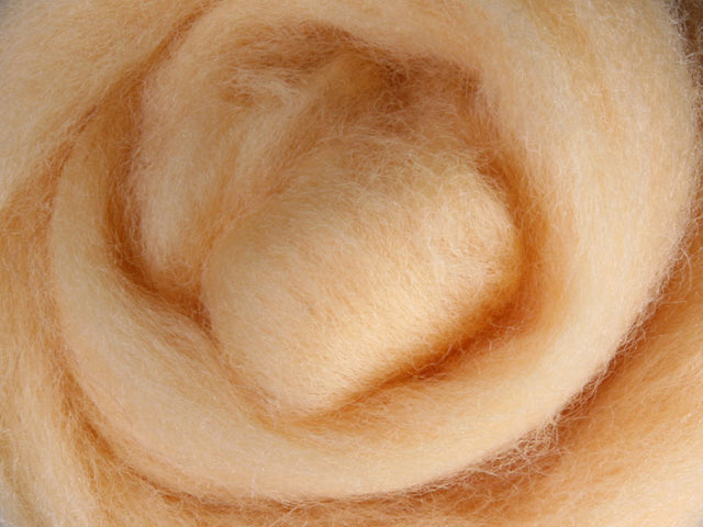 Merino Dyed Sliver 100gm