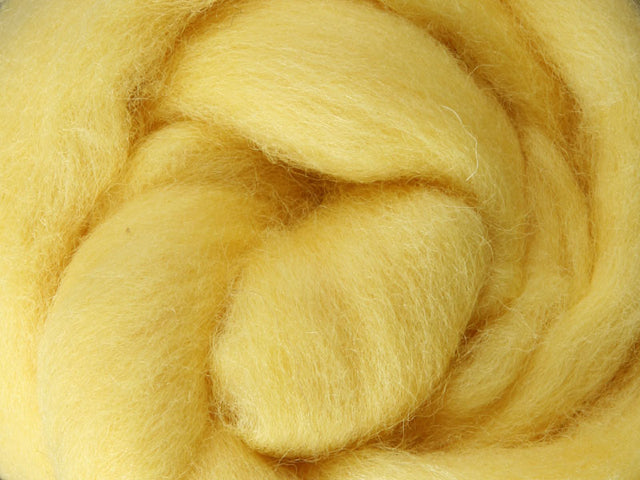 Merino Dyed Sliver 100gm