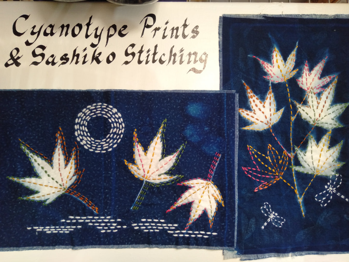 Cyanotype Set