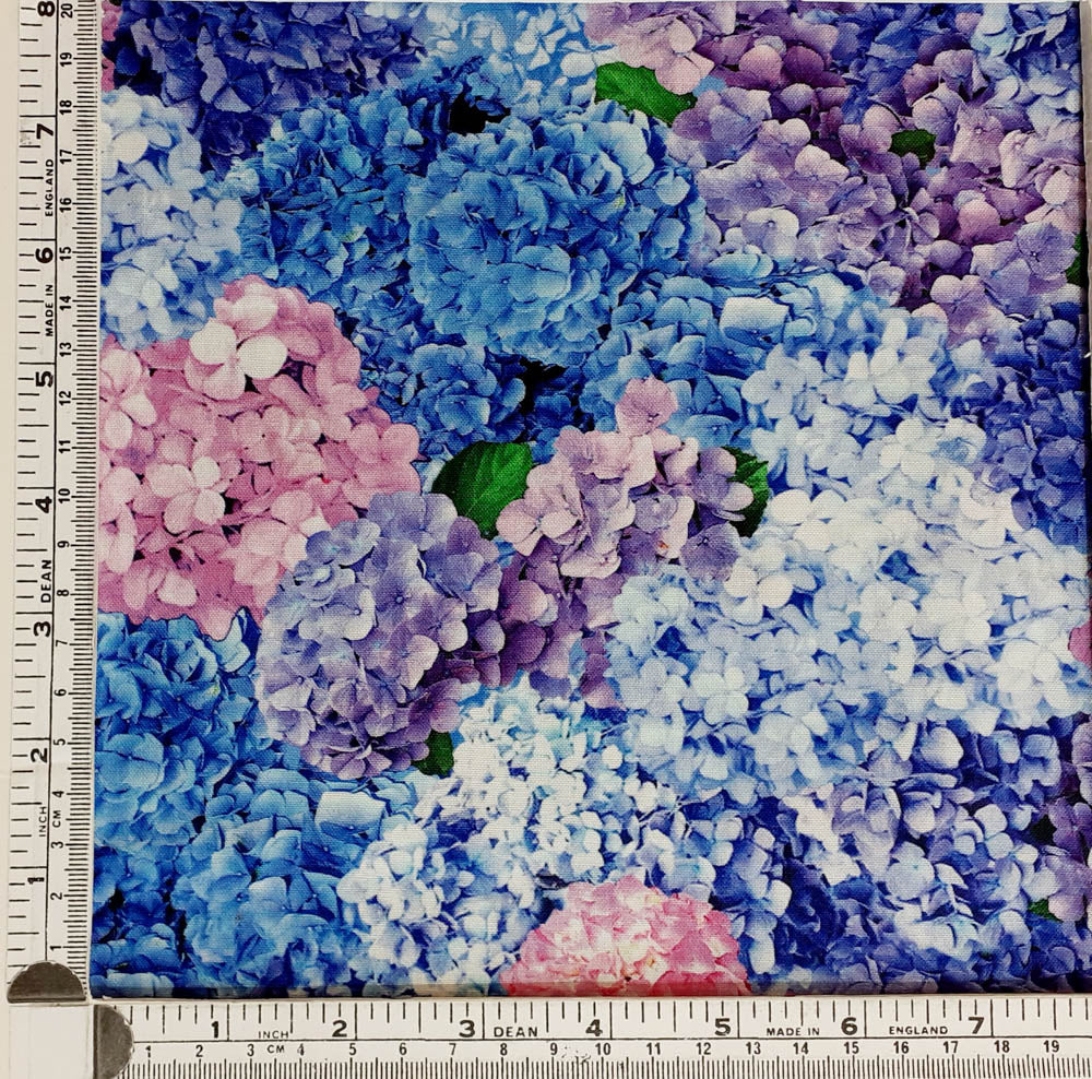 Hydrangea Dreams 11759 MULTI