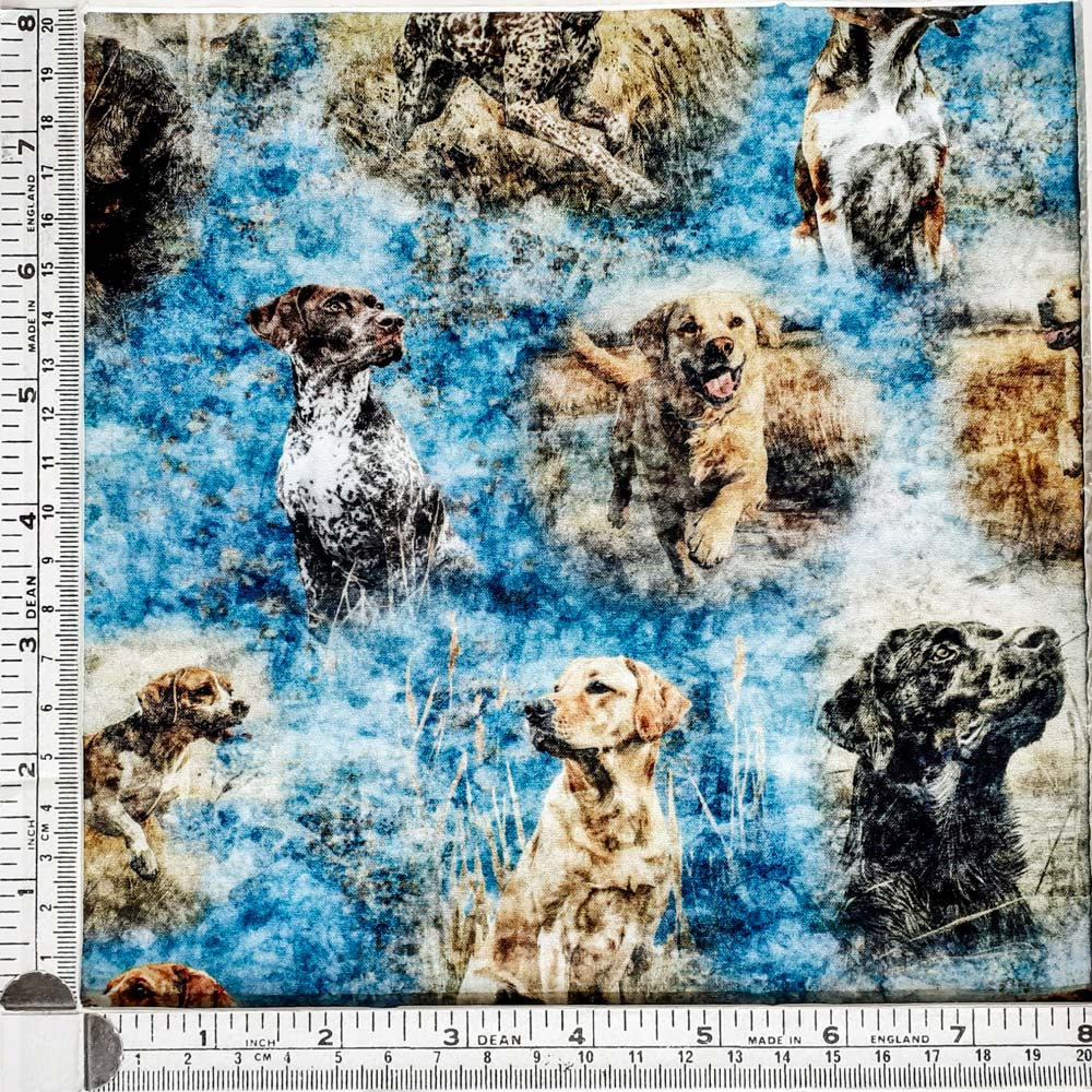Forest, Field & Stream 31407 B