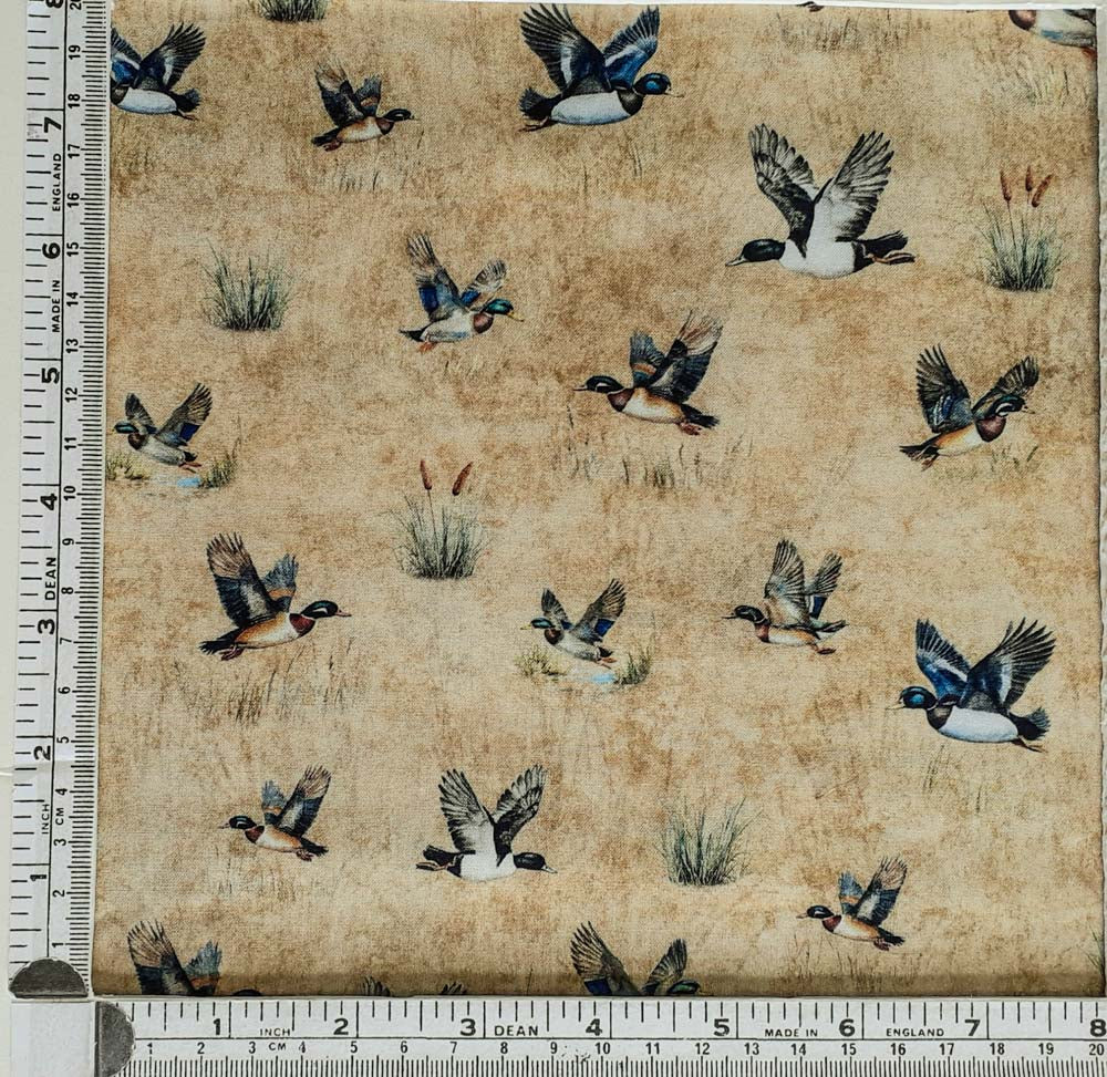Forest, Field & Stream 31409 A