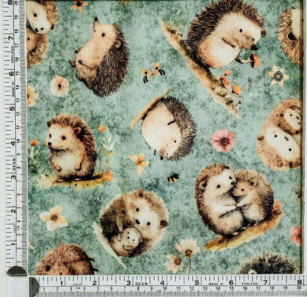 Hedgehugs 31413 H