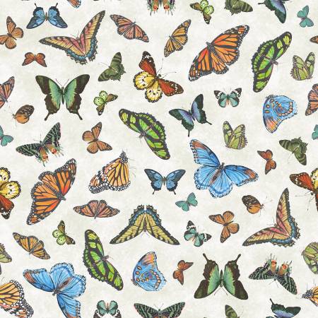 Butterfly Collector 53610-3
