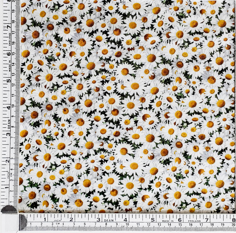 Daisies White 656