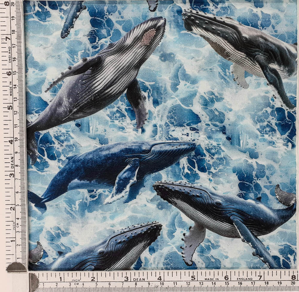 Blue Whales 79400 112