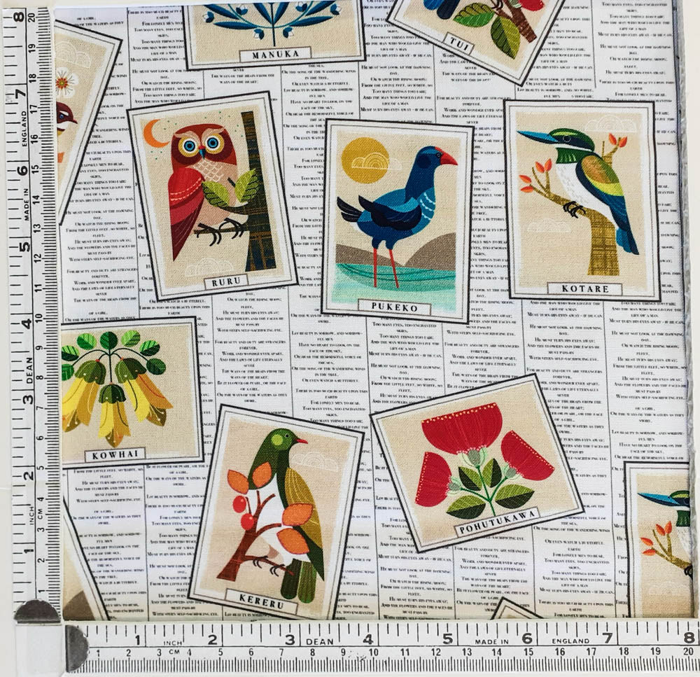 Postcard fron NZ 81900 101
