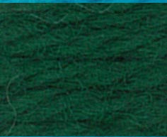 
                  
                    DMC Tapestry Thread 486 7348 Black Forest
                  
                