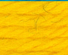 
                  
                    DMC Tapestry Thread 486 7435 Bright Yellow
                  
                