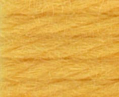 
                  
                    DMC Tapestry Thread 486 7725 Mustard
                  
                