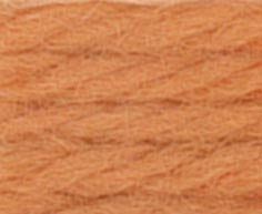 
                  
                    DMC Tapestry Thread 486 7919 Copper
                  
                