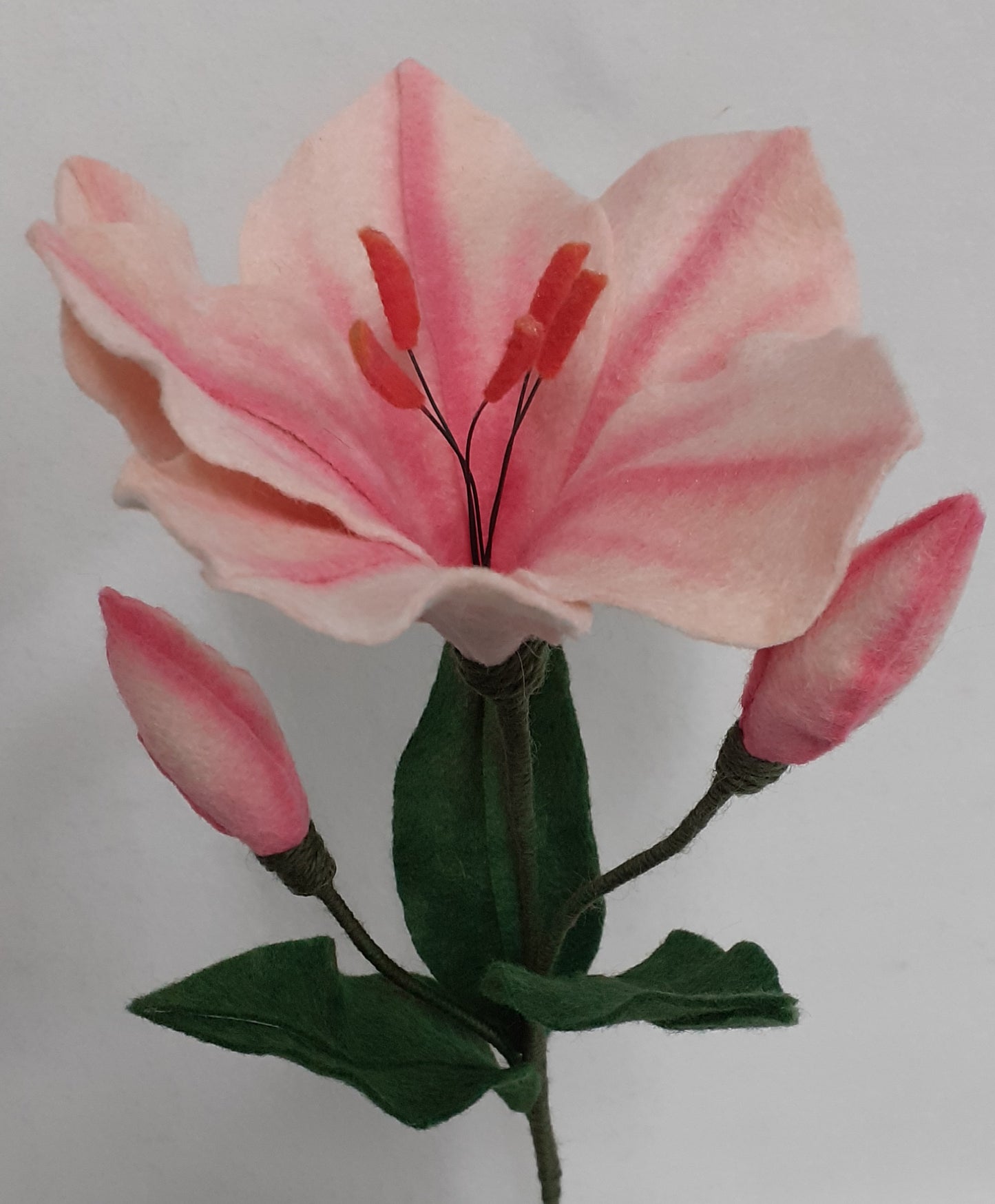 
                  
                    ‘Felt Lily Flowers Class 20th June
                  
                