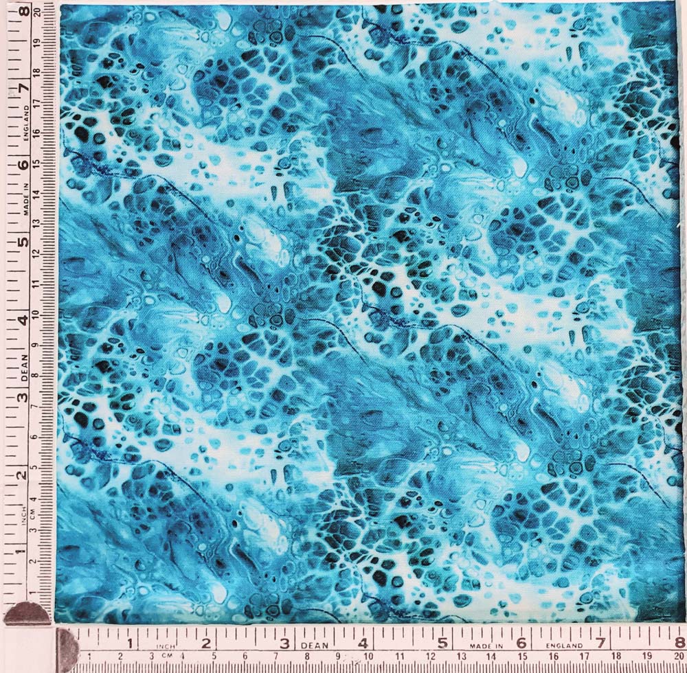 Under the Sea HNUS16632 82