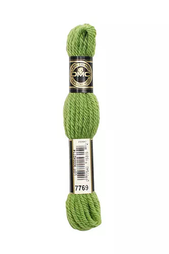 DMC Tapestry Thread 486 7769 Fennel